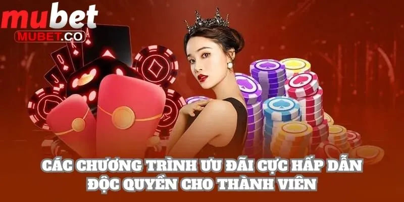 Mubet | Link Đăng Ký Chính Thức Của Mubet.com 2026 19 Các chương trình ưu đãi cực hấp dẫn độc quyền cho thành viên